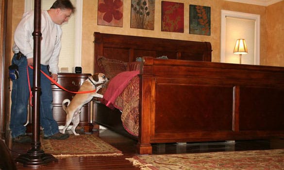 K9 Scent Detection Pest Control | Orange County NY | R ...